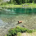 La Casetta Del Cuore Tra Terme E Montagna