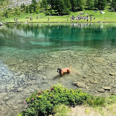 La Casetta Del Cuore Tra Terme E Montagna